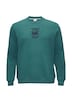 Sweatshirt mit Stickerei