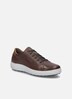 Herren Sneaker Maddox 05, castagne-kombi