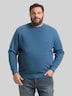 Basic Sweatshirt in Unifarben