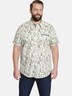 Overhemd Met Korte Mouwen DUKE AUSTIN