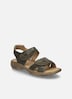 Damen Sandale Debra, moos