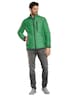 Herren Steppjacke regular , Grasgruen