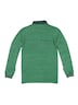 Herren Langarm-Shirt mit Polokragen , Grasgruen