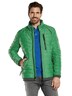 Herren Steppjacke regular , Grasgruen