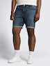 Regular Jeans Shorts