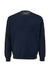 Sweatshirt mit Logoprint