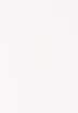 Damen Wickelbluse - Uni