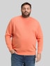 Sweatshirt mit Logo-Print