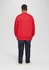 Sweatshirt mit Stickerei