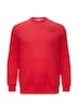 Sweatshirt mit Stickerei