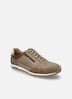 Herren Halbschuh Colby 03, taupe-multi