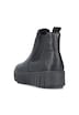 Chelsea Boots Y6151