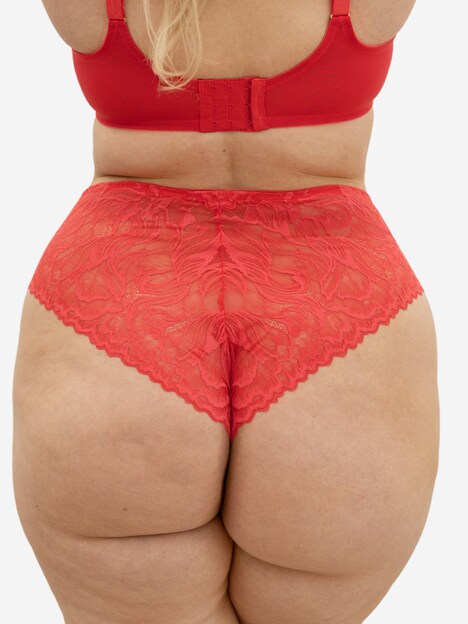 High-Brazilian CARIBA