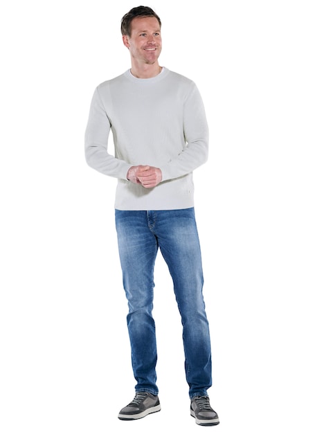 Herren Rundhals Pullover mit Rippstruktur , Hellgrau