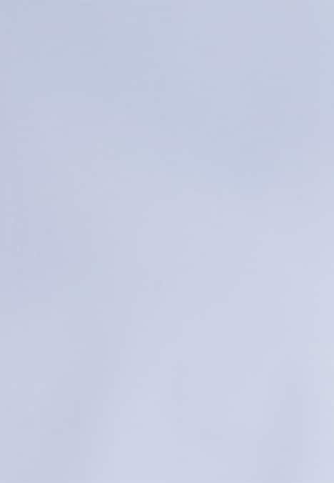 Herren Business Hemd - Uni