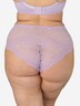 High-Panty LACE BASIC