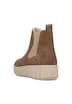 Chelsea Boots Y6151