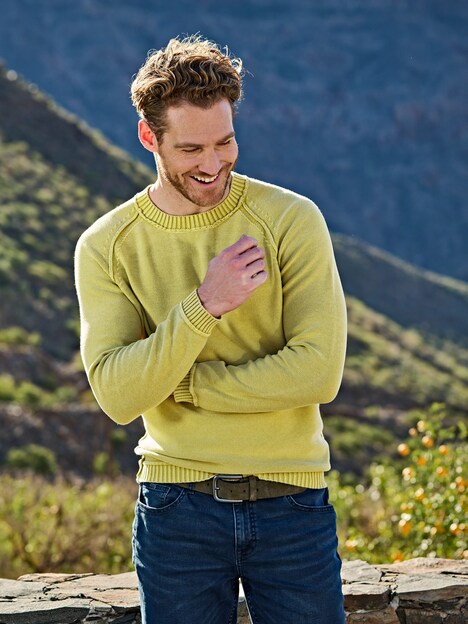 Herren Pullover uni , Hellgruen