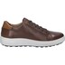 Herren Sneaker Maddox 05, castagne-kombi