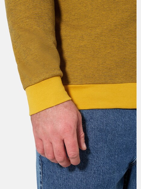 Sweatjacke BIARTE