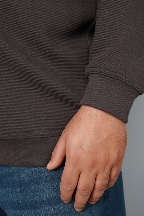Men+ Sweatshirt, Bauchfit, Troyerkragen, farbige Details