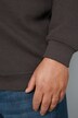 Men+ Sweatshirt, Bauchfit, Troyerkragen, farbige Details