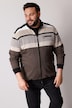 Men+ Sweatjacke, Ringel, Zipper, bis 80/82