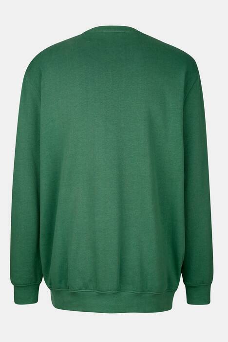 Boston Park Sweatshirt, Bär, Rundhals, bis 80/82