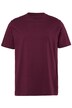 Tričko, kolekce Basic, česaná bavlna, kulatý výstřih, do 8 XL