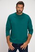 JP1880 Langarmshirt, Basic, OEKO-TEX, bis 8 XL