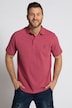 Lot de 2 polos, collection Basic - coton piqué, peigné