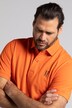 Poloshirts, Basic, 2er-Pack, Piqué, gekämmte Baumwolle