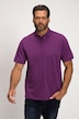 Lot de 2 polos, collection Basic - coton piqué, peigné