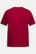 Henleys, Basic, 2er-Pack, Rundhals, Knopfleiste, bis 8 XL