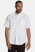 Halbarm-Hemd, Buttondown-Kragen, Modern Fit