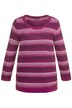 Tonal Blend Round Neck Long Sleeve Stripe Sweater