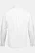 Camisa, cuello alto, hasta la 8XL, Modern Fit