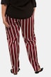 Soft Shimmering Stripe Elastic Waist Stretch Pants