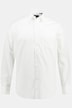 Chemise en tissu infroissable, collection Business. Coupe Modern Fit.