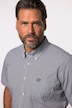 Camisa, negocios, manga corta, cuadros de Vichy, hasta 8XL, corte cómodo
