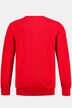 Pullover, Basic Form, V-Ausschnitt, Baumwolle