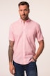 Chemise en lin mélangé. Manches courtes et col à pointes boutonnées. Coupe Modern Fit.