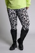 Leggings, High Waist, Leo Print, Elastikbund