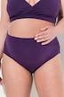 Bellieva Wide Waistband Panty