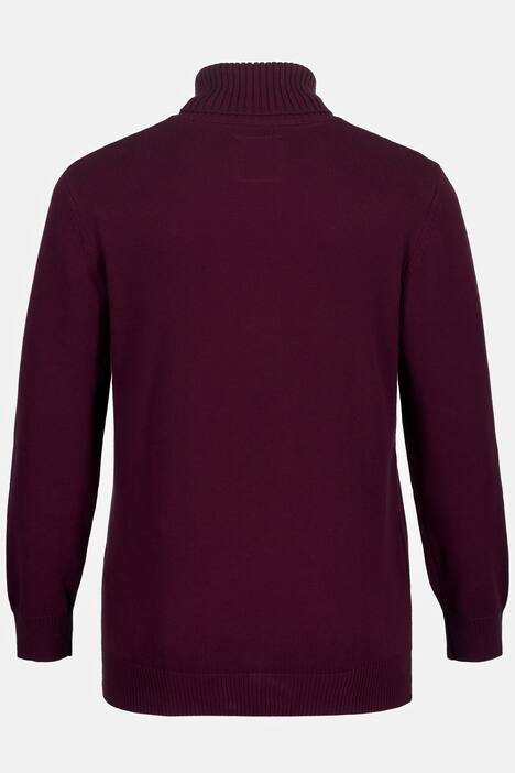 Rollkragenpullover, Strick