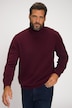 Rollkragenpullover, Strick