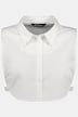 Solid Shirt Collar Dickey