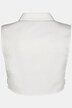 Solid Shirt Collar Dickey