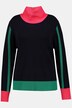 Pullover, Farbakzente, Rollkragen, Langarm