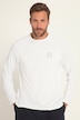 JAY-PI-funktionstrøje i FLEXNAMIC® og QuickDry, fitness, op til str. 7XL
